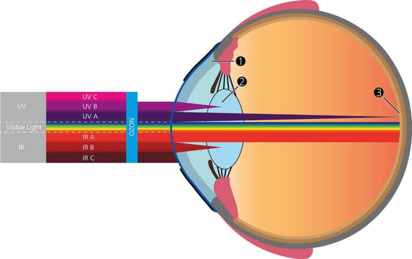 חדירת קרינת UV לעין